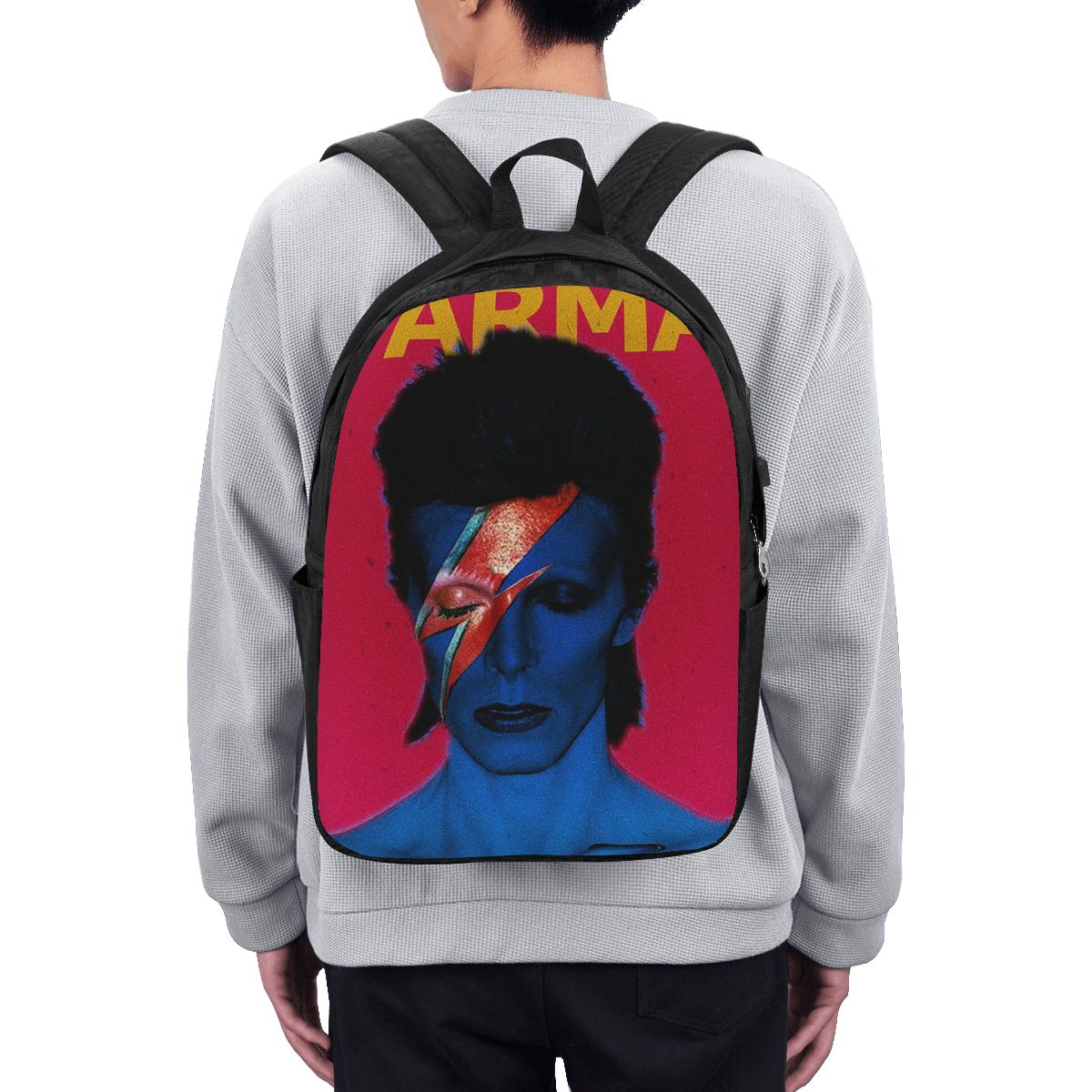 Рюкзак Davids Bowied, дорожная – обзор и цена Women Bags For Laptop